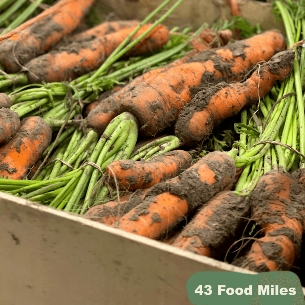 Kent Veg Box carrots dirty FM 1080 SQ